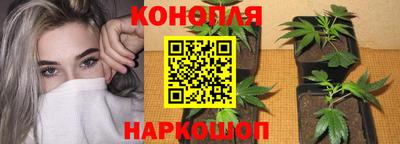 прущие грибы Заволжье