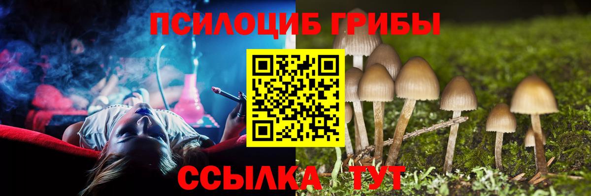 где найти наркотики  Вход с VPN  Галлюциногенные грибы Cubensis  Минусинск  Псилоцибиновые грибы MAGIC MUSHROOMS 